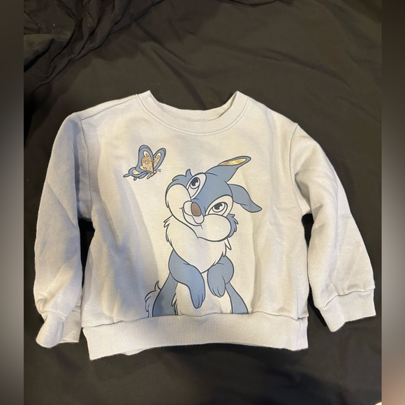 Baby Gap Disney Toddler Sweatshirt Size 4T - Picture 1 of 6